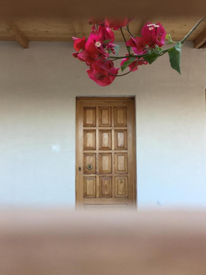 Villa Artemis Leto מראה חיצוני תמונה
