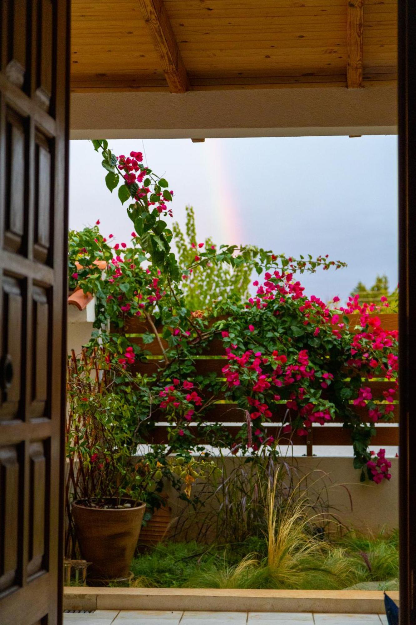 Villa Artemis Leto מראה חיצוני תמונה